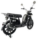 Factory 22 Inch Household Electric Bike 800W Delivery Dual Spring shock absorption Electric Motorcycle 60V Lithium Battery